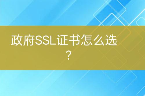 政府SSL证书怎么选？
