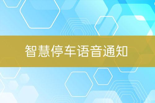 智慧停车语音通知