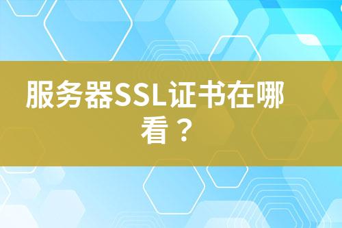 服务器SSL证书在哪看？