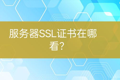 服务器SSL证书在哪看？