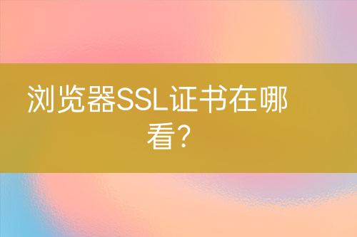 浏览器SSL证书在哪看？