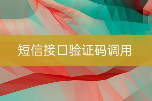 短信接口验证码调用