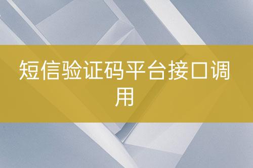 短信验证码平台接口调用