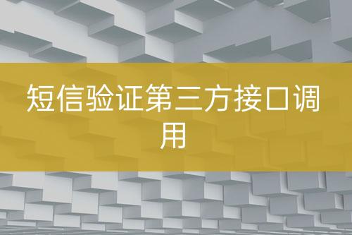 短信验证第三方接口调用