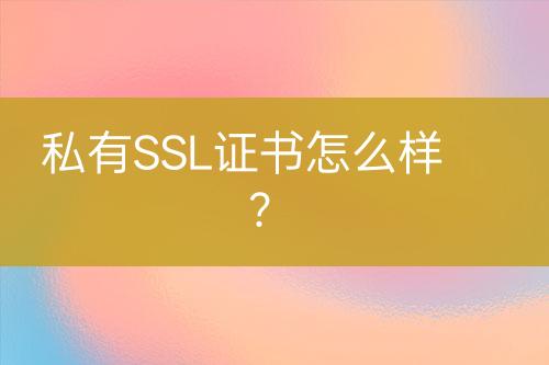 私有SSL证书怎么样？