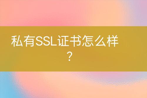 私有SSL证书怎么样？