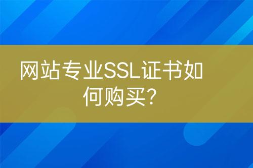 网站专业SSL证书如何购买？