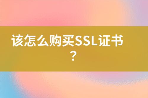 该怎么购买SSL证书？