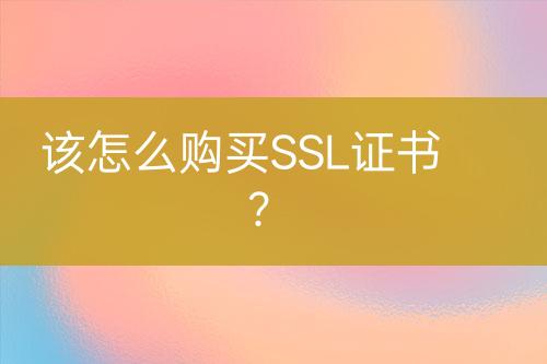 该怎么购买SSL证书？