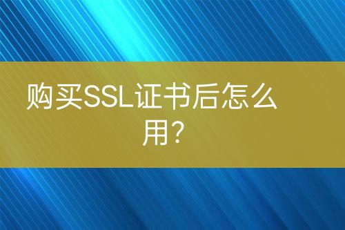 购买SSL证书后怎么用？