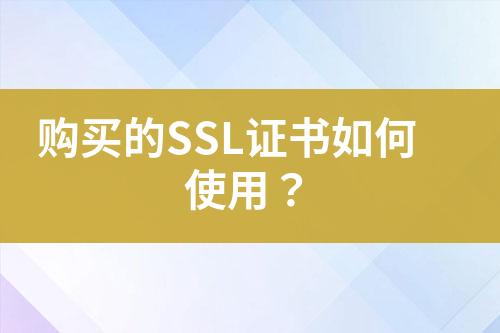 购买的SSL证书如何使用？