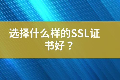 选择什么样的SSL证书好？