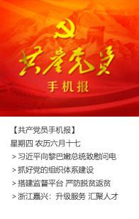 视频短信手机报